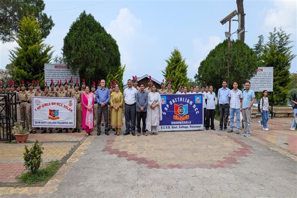 GC Palampur